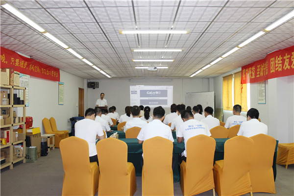 伽立集團(tuán)銷(xiāo)售會(huì)